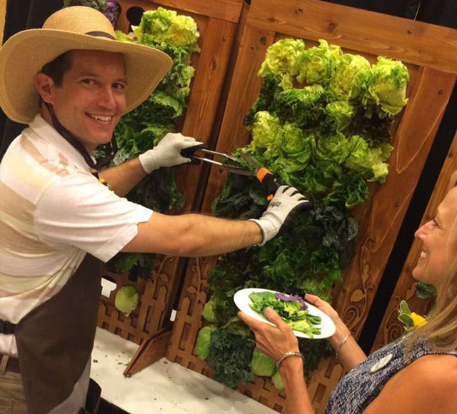 Salad Bar
